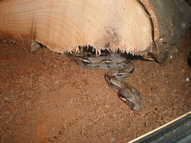 0,1 2008.JPG